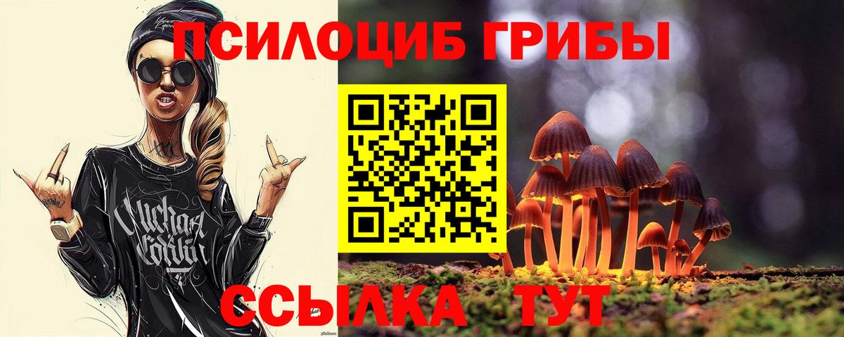 что такое наркотик  Галлюциногенные грибы Magic Shrooms  Псилоцибиновые грибы мицелий  Вход с VPN  Новороссийск 